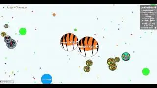 Agar.io|Hero Koji