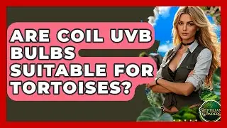 Are Coil UVB Bulbs Suitable For Tortoises? - Reptilian Wonders