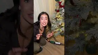 My Christmas house tour