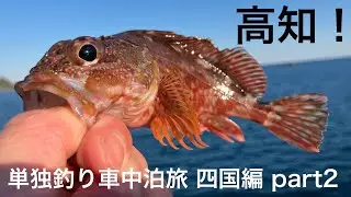 【単独釣り車中泊旅＠四国#2】高知の海をめぐる釣り旅2日目。行当漁港から道の駅大山、西分漁港と宇佐しおかぜ公園を経て久礼漁港へ。西岡酒造さんの「純平」もゲット！果たして釣果は？【2025-26年越し】