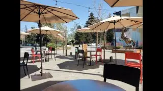 Chef Lauren Gives Us an Insider View of Kin Khao Dogpatch's Reopening