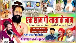 Live🛑 प्रकाश दास जी महाराज और रामकुमार मालुणी जुगलबंदी टोड़ारायसिंह लाइव। Prkash Das Ji Maharaj