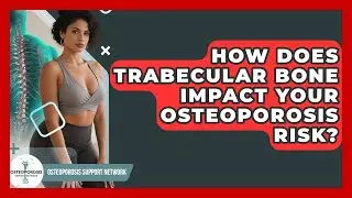 How Does Trabecular Bone Impact Your Osteoporosis Risk? - Osteoporosis Support Network