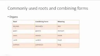 Open Campus Medical Terminology Module 3 - Roots and Combining Forms