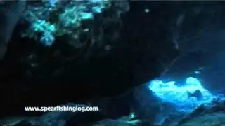 Spearfishing - &Psi;&alpha;&rho;&omicron;&nu;&tau;&omicron;&upsilon;&phi;&epsilon;&kappa;&omicron; -Umbrina cirrosa