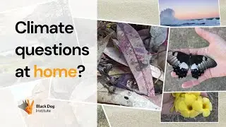 Help kids express climate feelings through photography | Kids art activity