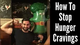 How To Stop Hunger Cravings! | Dan Rayner Tips #3