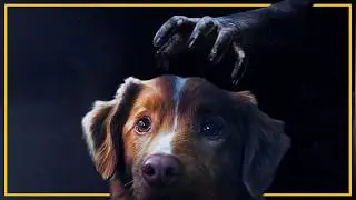 GOOD BOY