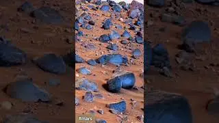 #perseverance #mars #rocks #space #exploringmars #nasa #marsdiscovery #object #video #sand #desert