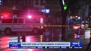 Teen boy dies after stabbing in Brooklyn street