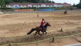 2016 World Horseback Archery Championships Single Shot Bulls Eye Greg Ogburn USA
