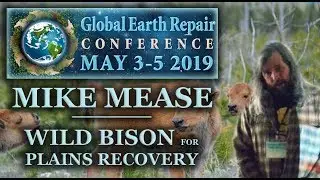 Mike Mease - Wild Bison for Plains Restoration - Global Earth Repair Conference 2019