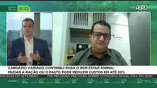 Card&aacute;pio variado contribui para o bem-estar animal | AgroMais