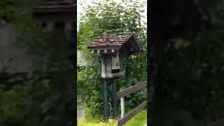 Grindelwald Walking Tour &mdash; Swiss Alps Beauty