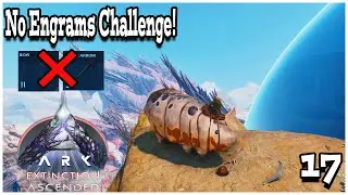 🛑NO ENGRAMS Challenge!🛑 Ark: Survival Ascended Extinction! Yellow OSD's and maybe Red OSD's!?