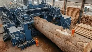 Inside the Largest Wood Sawmill Factory – How Plywood Is Made From Logs to Table (Full Process)
