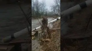 rifle river Michigan