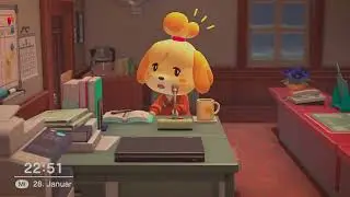 Animal Crossing New Horizons &ndash; Nintendo Switch 2 Edition - Session 11