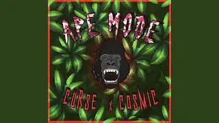 APE MODE