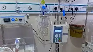 how give a oxygen with head box to newborn baby 