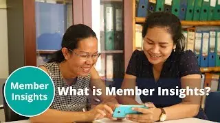 What is Member Insights?