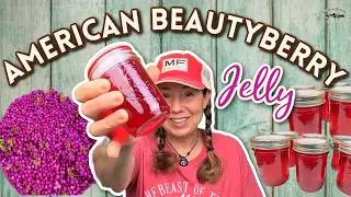 Beautyberry Jelly | How to Make a Tasty Southern Jelly