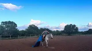 Freckles- 9 YO Buckskin Leopard Appaloosa Gelding