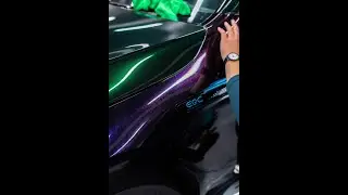 Profilm ProColor Range at WrapFest 2023