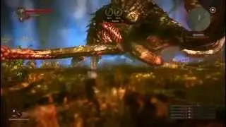 Kayran Boss Fight The Witcher 2 -alienware 14