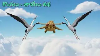 కొంగలు తాబేలు నీతి కథ | 3D Animated Moral Story | Telugu Kathalu