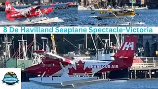 Epic De Havilland Spectacle: 8 Seaplanes Soar Over Victoria Harbour!