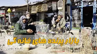 کوچه پرنده فروشی در مزارشریف