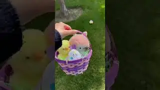 Join the hunt for an Aurora-filled Easter adventure!🐰 #auroraworld #plushies #easter #easterbaskets