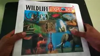 Wildlife Explorers Binder. Zoology Resource Review