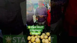 Fresh kharbooza 🍈auction (लिलाव)Solapur #kharbooza #fresh #star#auction #market #solapur  #fruits
