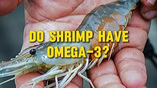 Do Shrimp Have Omega 3? Unpacking the Truth About Shrimp & Fatty Acids