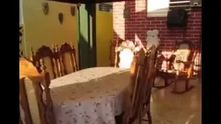 Casa particular Yoni for rent in Varadero - backyard, own entry
