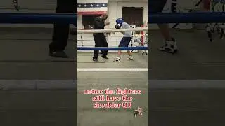 Gain Insight to Inside fighting (Boxing Knowledge) #boxingtraining #shortvideo #boxingcoach