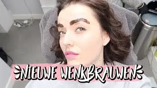Ik heb nieuwe dikkere wenkbrauwen | Vloggloss 1163