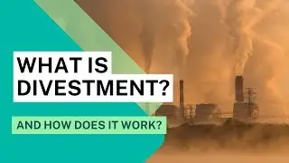 This is How Divestment Changed the World...