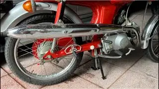 Đ&atilde; B&aacute;n C&acirc;y p&ocirc; zin 69 4 dừng r&atilde; xe Japan ĐT: 0912775751