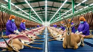 Inside the Impala Leather Factory: From Farm to Luxury Item &ndash; Million-Dollar Industry Secret