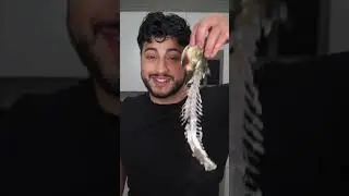 Whole Branzino | The Golden Balance