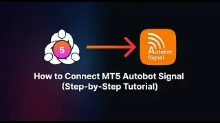 How to Connect MetaTrader Indicator to Automate Your Trade (Updated)