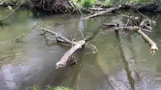 Vermillion River:  A Trout Stream