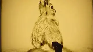 Sand Art | 3 pictures on a light table | Timelapse