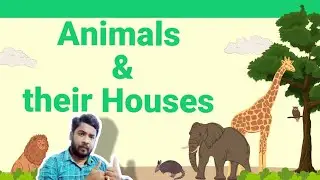 Animals and their houses.#education #kids