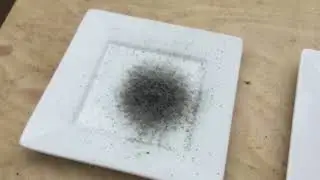Match Powder vs. Black Powder in My Mini-Cannon