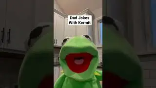 Dad Jokes With Kermit