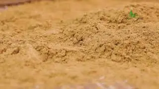 Cassia cinnamon -  Powder